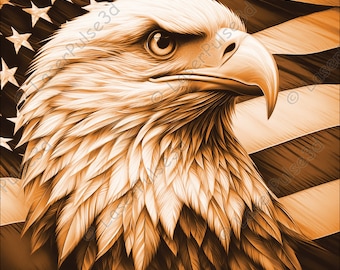 American Eagle & Flag Laser Engrave Image | Laser Burn PNG File | 3D Laser Ready File | High Resolution Digital Image | 3D Illusion Graphics