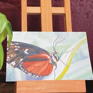 Giclee Watercolor Print - Butterfly