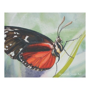 Watercolor Print - Butterfly