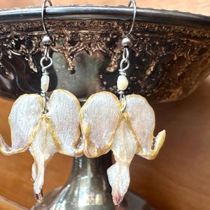 Real Bleeding Heart Dried Flower Earrings,  White Bleeding Heart and Pearl Resin Earrings, Handmade Dangle Drop Earrings, Gift for Her