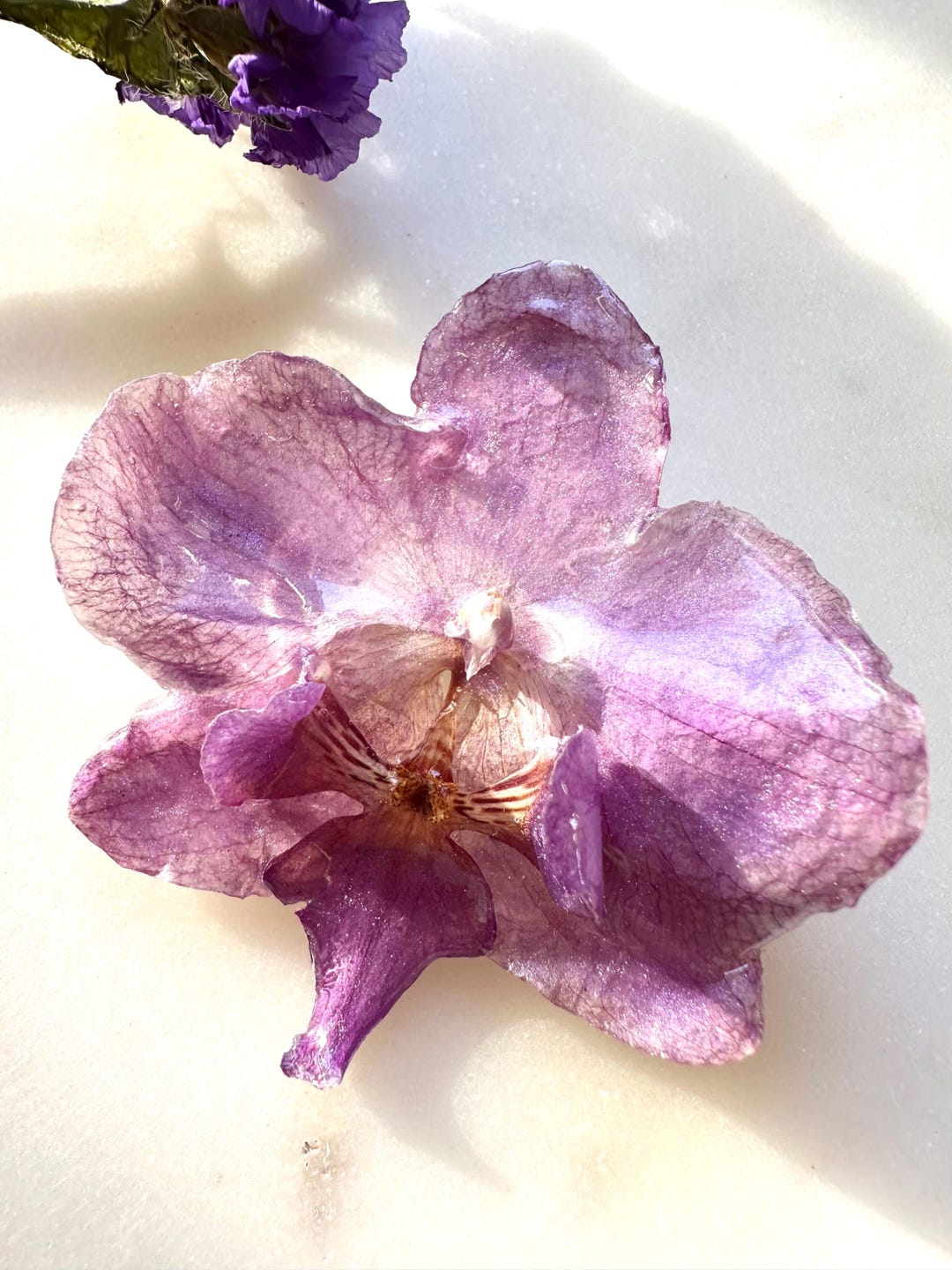 Real Orchid Hair Clip, Orchid Resin Hair Clip, Real Flower 