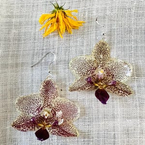 Real Orchid Dried Flower Earrings, Flower Epoxy Resin Earrings, Pressed Flower Earrings, Real Flower Earrings, Perfect Gift for Her