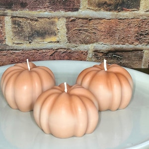Holiday Candle | Pumpkin Spice and Everything Nice | Pillar Candle | Toasted Pumpkin Spice Scented Candle
