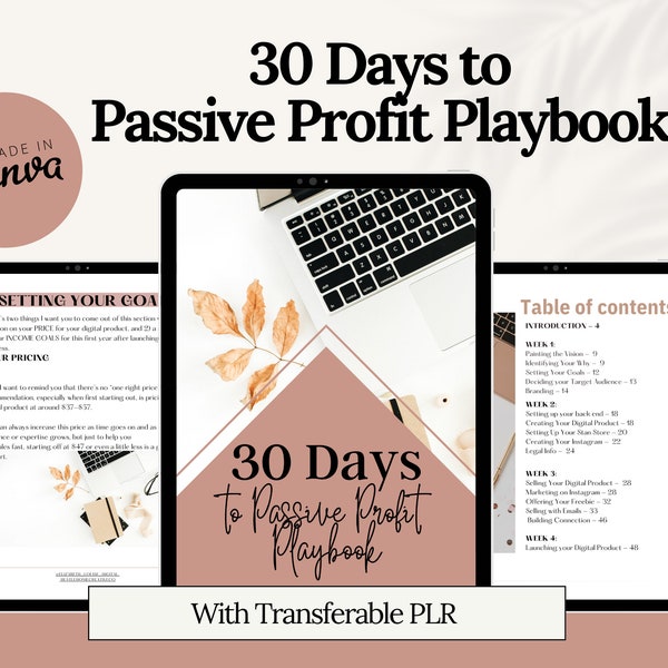 Passive Profit Playbook with Transferable PLR. Digital marketing starter guide. DFY digital product.  Start, Automate, & Scale. PLR.