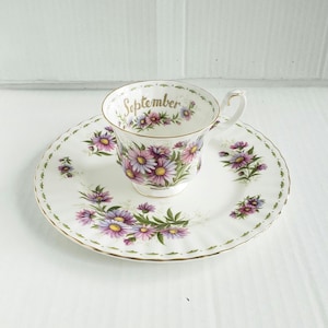 Vintage Royal Albert Flower of the Month Series. September 8.25&quot; Salad Plate and Footed Cup Set. Discontinued Pattern. Circa 1970-2009.