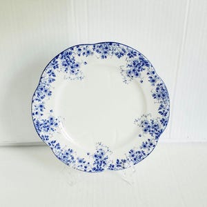 Shelley Dainty Blue - Etsy