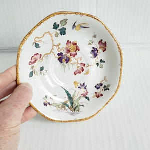 Wedgwood Devon Rose - Etsy