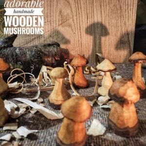 Wooden Mushrooms with parasite wood