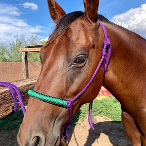 Purple Rope Halter w/ Lead - Black and Green Noseband - Average Size