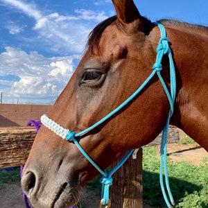 Sky Blue Rope Halter ONLY - White and Black Noseband - Average Size