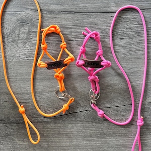 May include: Two neon-colored rope halters with long leads. The left halter is neon orange with a dark brown leather-like tag embossed with the word MAGIC. The right halter is neon pink with a dark brown leather-like tag embossed with the word BLING.
