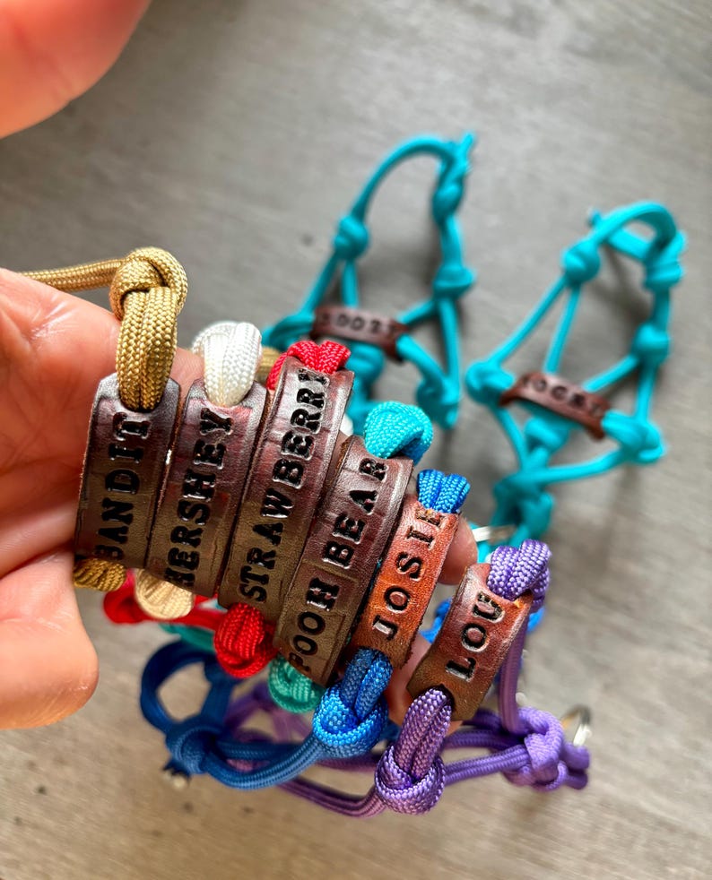 May include: A collection of colorful paracord rope halters featuring brown leather nameplates. The leather tags are stamped with the names BANDIT, HERSHEY, STRAWBERRY, POOH BEAR, JOSIE, and LOU. The ropes are in shades of gold, white, red, blue, and purple.