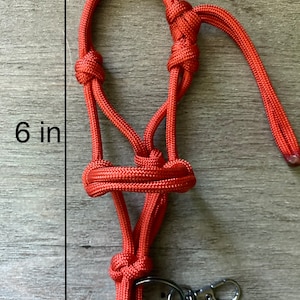 May include: An orange paracord halter featuring a series of intricate knots, a metal swivel clasp, and a split ring. The halter measures 6 inches in height and 2 inches in width as indicated by the black measurement lines visible in the image.