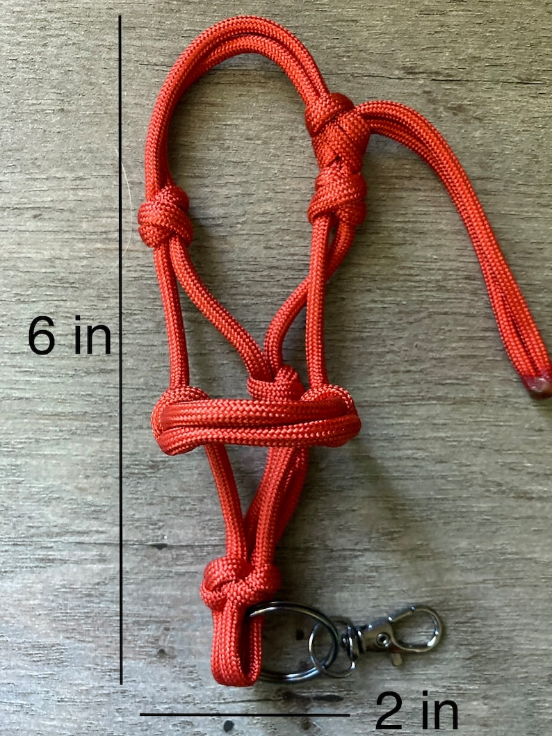 May include: An orange paracord halter featuring a series of intricate knots, a metal swivel clasp, and a split ring. The halter measures 6 inches in height and 2 inches in width as indicated by the black measurement lines visible in the image.