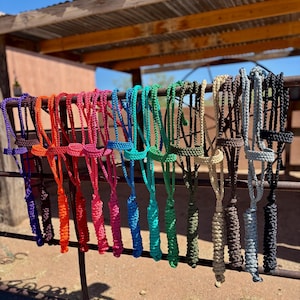 May include: A collection of colorful rope horse halters in various shades, including purple, orange, pink, turquoise, green, tan, gray, and black. The halters are hanging on a metal bar, with a rustic wooden structure in the background.