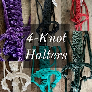 4-knot Rope Halters w/ Lead - Assorted colors - Newborn/Foal/Mini/Yearling/Weanling/Arabian/Average/Large/Draft