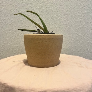 Clay plant pot