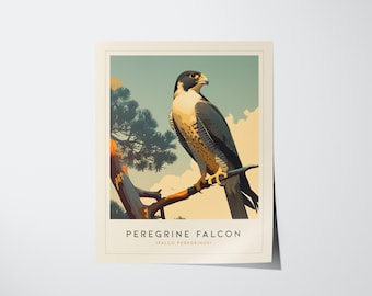 Peregrine Falcon Print: Modern Bird Or Prey Wall Art, Nature Decor (Digital Download)