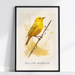 May include: A framed art print showing a yellow warbler bird on a branch. The bird is set against a cream background with yellow brushstrokes. The print includes the text "YELLOW WARBLER" and the scientific name, in a black frame.