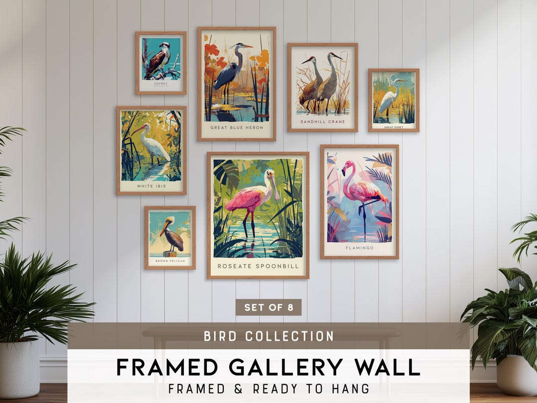 Birds Gallery Wall Set of 8, White Ibis, Tufted Titmouse, Great