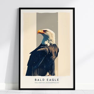 Majestic Bald Eagle Poster: Birdwatcher Wildlife Art image 1