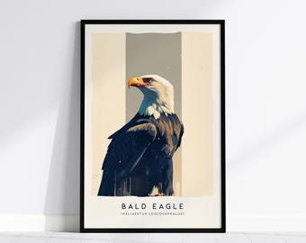 Poster con maestosa aquila calva: Birdwatcher Wildlife Art