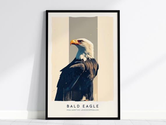 Majestic Bald Eagle Poster: Birdwatcher Wildlife Art