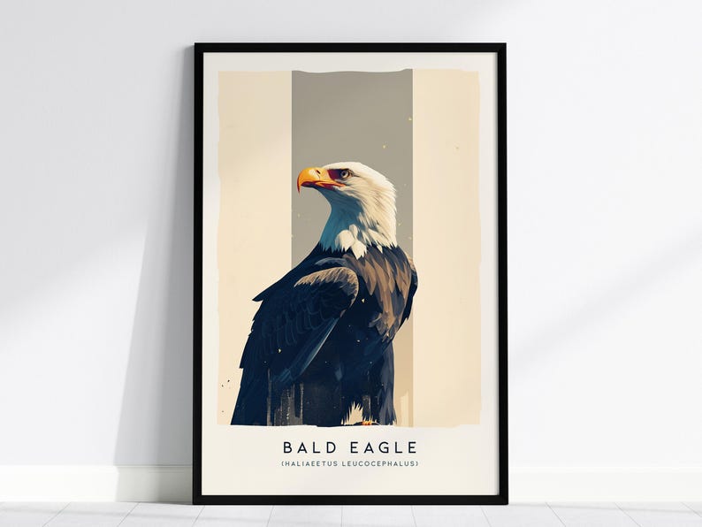 Majestic Bald Eagle Poster: Birdwatcher Wildlife Art image 1
