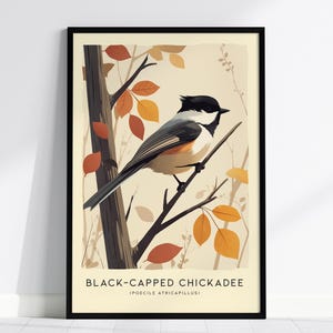 Pájaro cantor carbonero de cabeza negra, arte de pared enmarcado moderno, póster de vida silvestre de naturaleza minimalista estilo Cottagecore, decoración de granja Audubon, regalo para observadores de aves