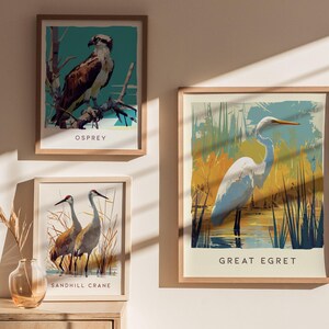 Biała czapla, Floryda Ptaki Dzikie Zwierzęta Oprawione Ścienne Sztuka: Plakat z Ptakami Przyrodniczymi Projekt Podróży Wydruk Jezioro Dom Plaża Domek Ptaki Dekoracje Zestaw zdjęcie 2