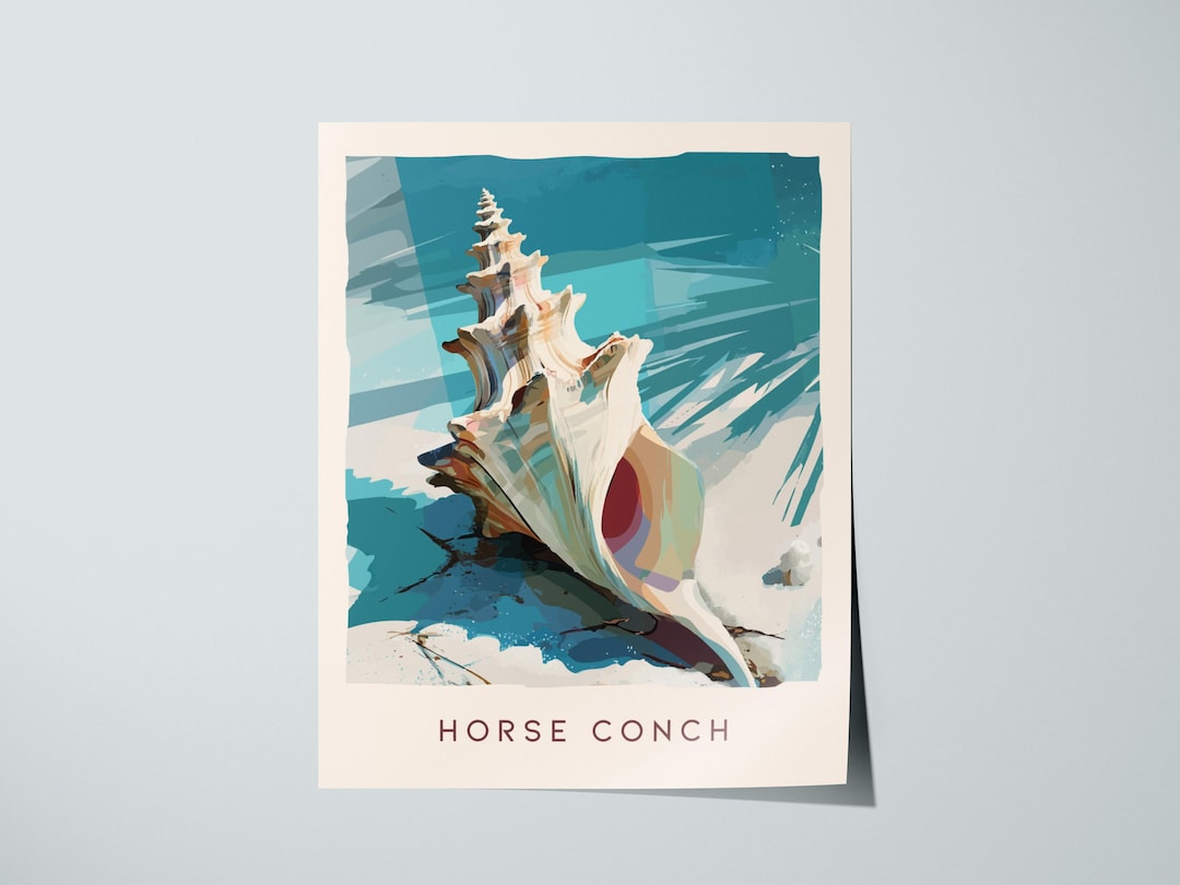 Horse Conch Shell Print: Florida State Shell Digital Download, Coastal ...