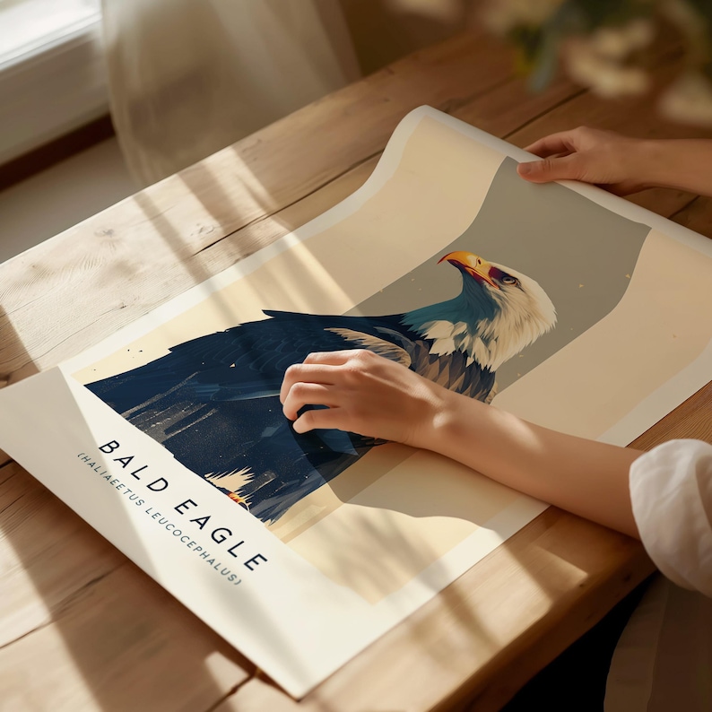 Majestic Bald Eagle Poster: Birdwatcher Wildlife Art image 5