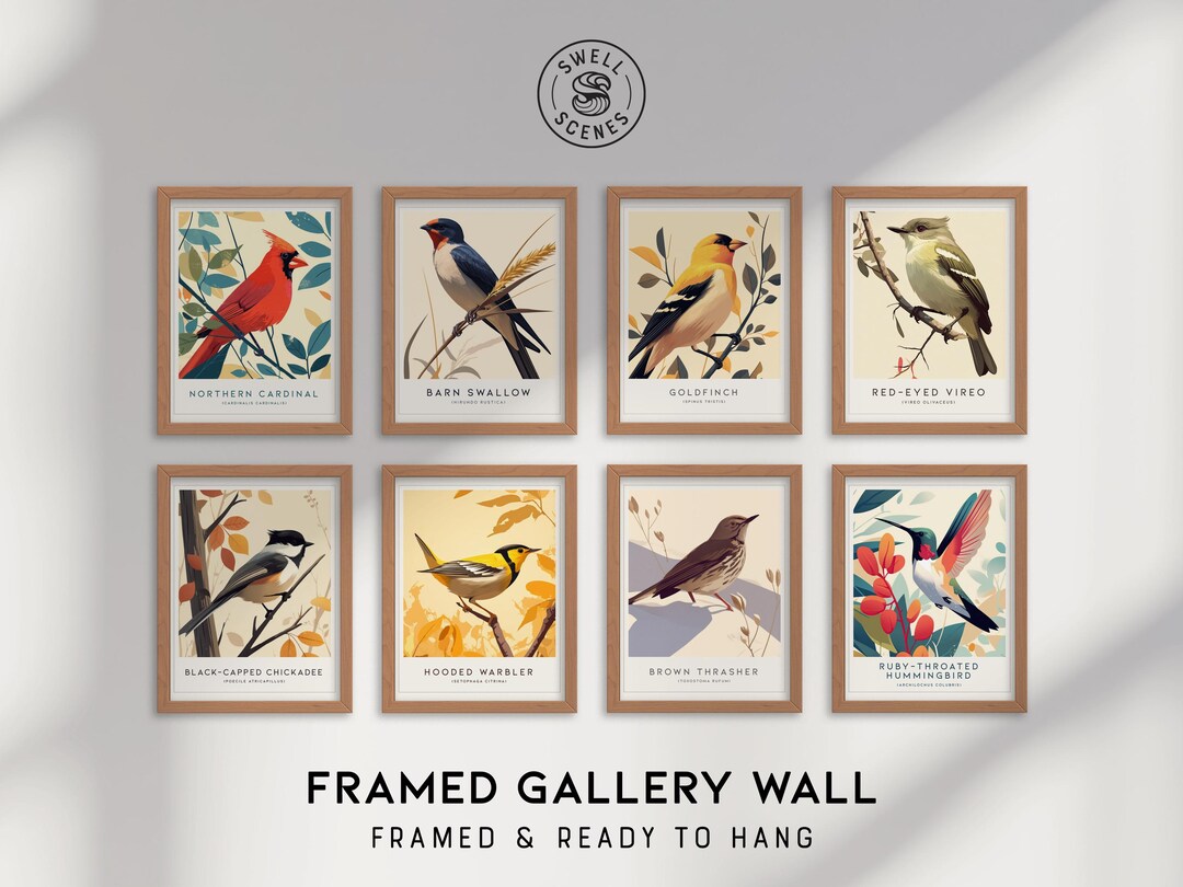 Audubon Bird Print Set: Gallery Wall Art, Framed or Unframed - Etsy