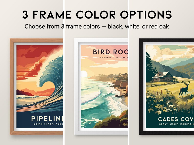 Póster del Parque Nacional de las Islas del Canal: Arte costero de California, con o sin marco imagen 10