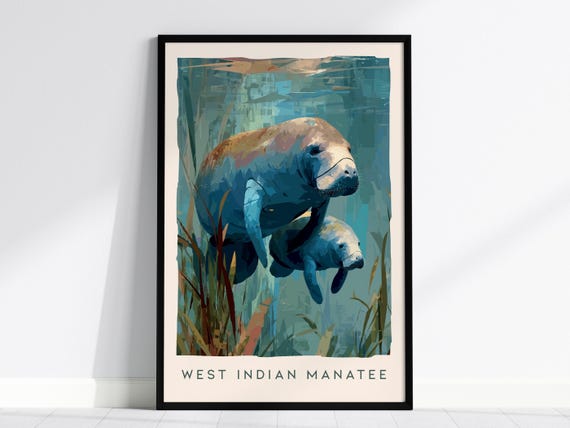 Manatee Art Print: Florida Wildlife Sea Cow Print, Modern Nature Wall Decor, Framed or Unframed