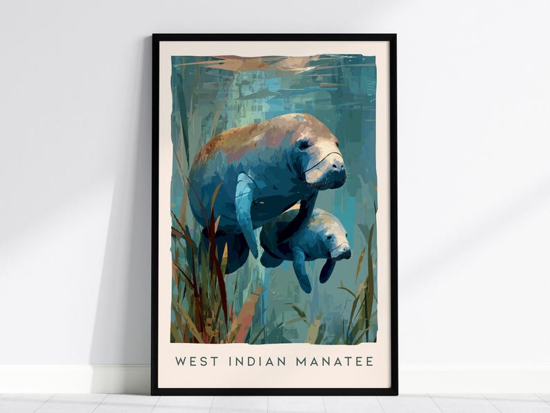 Manatee Art Print: Florida Wildlife Sea Cow Print, Modern Nature Wall Decor, Framed or Unframed image 1