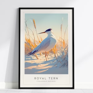 Póster enmarcado de charrán real / Arte mural moderno para amantes de las aves playeras / Impresión de naturaleza tropical de Audubon / Decoración de cabañas costeras