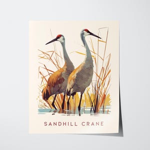 Sandhill Cranes Digital Download – Printable Florida Bird Wall Art, Wildlife Poster for Nature Lovers, Lake Houses, or Rustic Home Decor