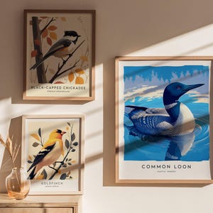 Common Loon Art Print: Minnesota State Bird Poster, Framed or Unframed image 4