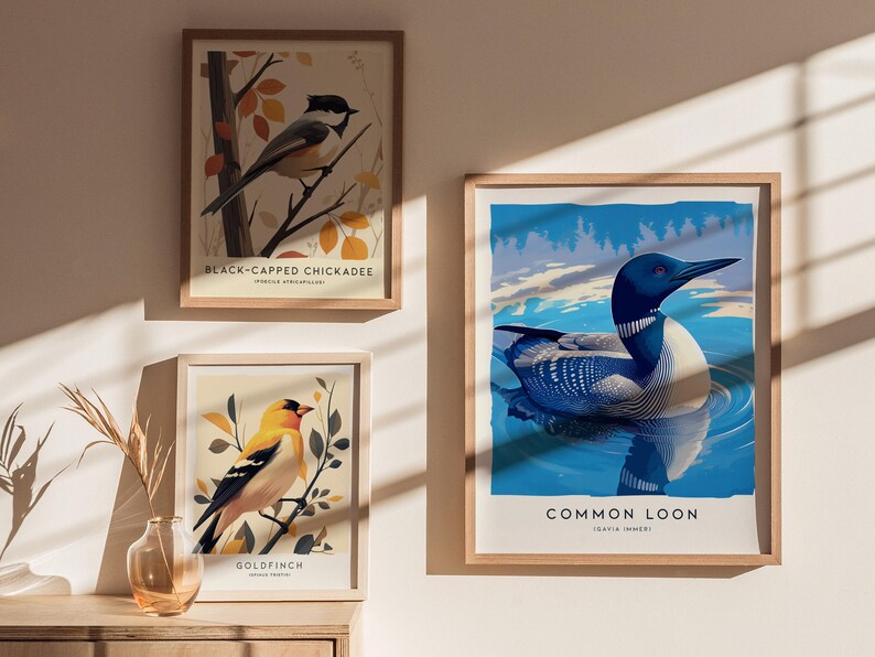 Common Loon Art Print: Minnesota State Bird Poster, Framed or Unframed image 4