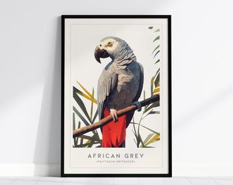African Grey Parrot Poster Art Print: Bird Lover Wall Decor
