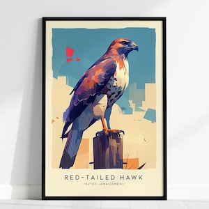 Rotschwanzfalke Moderne gerahmte Wandkunst, Cottagecore minimales Naturwildlederplakat, Greifvogel Audubon Bauernhofdekor-Reise-Druck Vogelbeobachtergeschenk