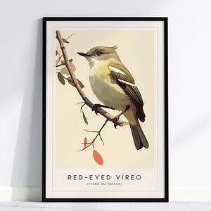 Póster de pájaro vireo de ojos rojos: arte aviar, disponible enmarcado o sin marco, perfecto para observadores de aves y amantes de la naturaleza, regalo de granja para observadores de aves