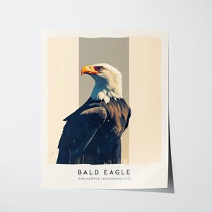 Majestic Bald Eagle Poster: Birdwatcher Wildlife Art image 4
