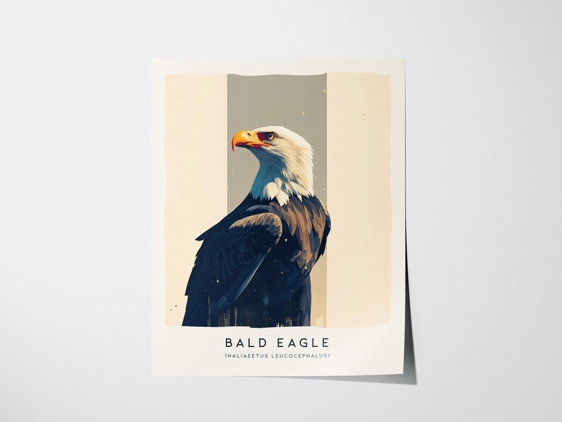 Majestic Bald Eagle Poster: Birdwatcher Wildlife Art image 4