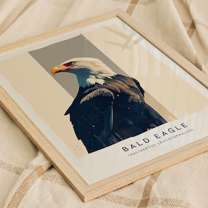 Majestic Bald Eagle Poster: Birdwatcher Wildlife Art image 8