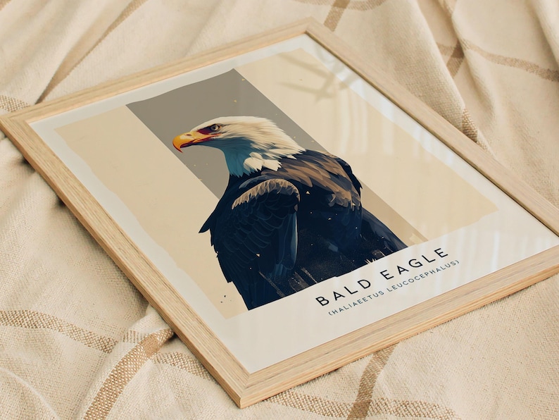 Majestic Bald Eagle Poster: Birdwatcher Wildlife Art image 8