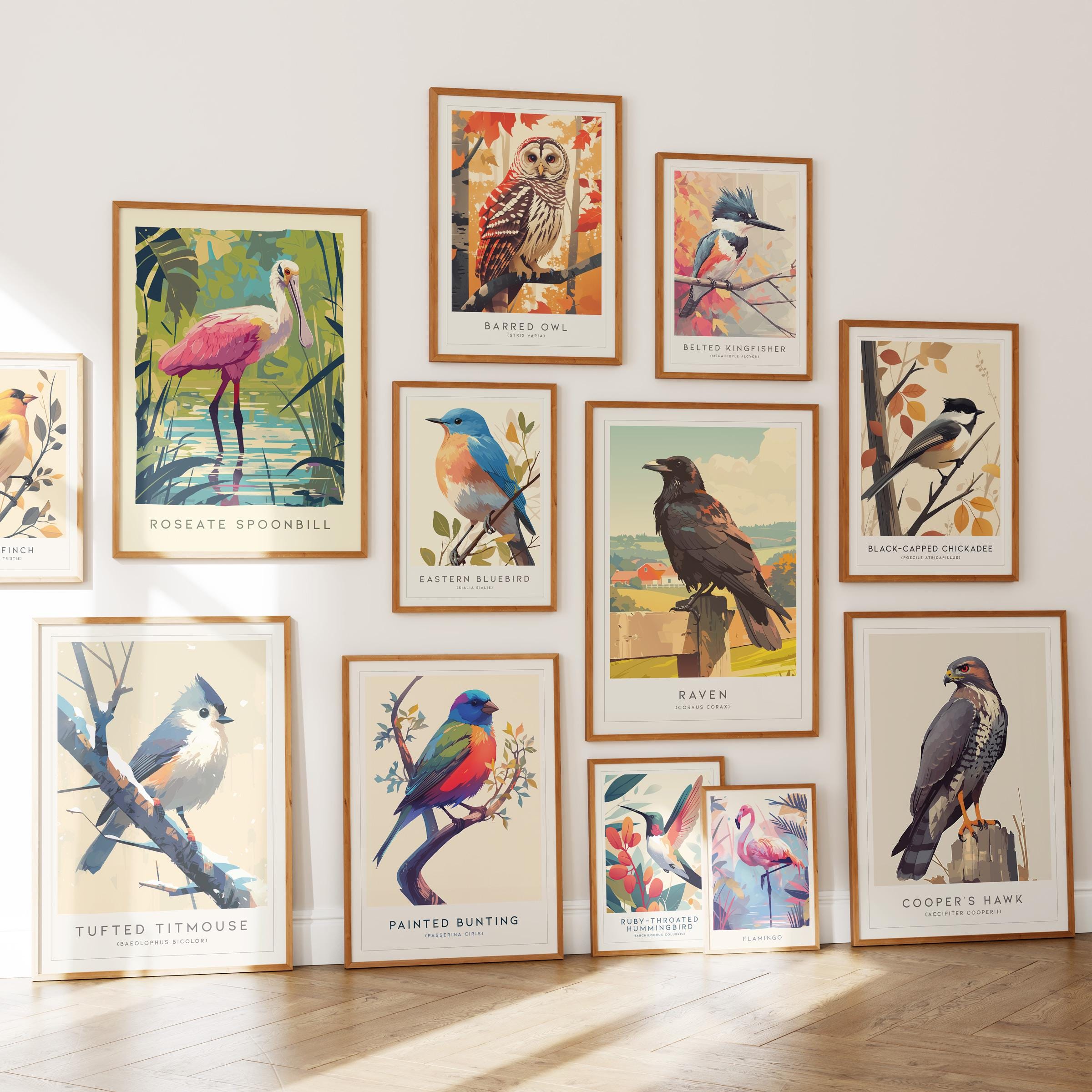 Bird Posters Set of 6 Wall Art: Audubon Style Prints Bundle, Framed ...