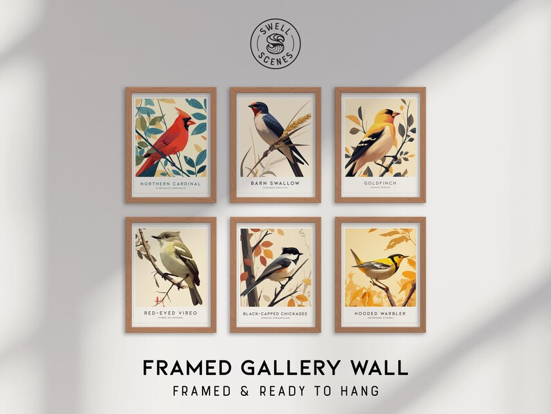 Audubon Bird Print Set: North American Birds Gallery Wall Art - Etsy