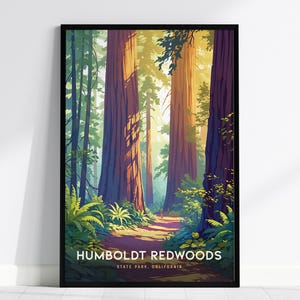 Humboldt Redwoods California Print: CA State Park Forest Wall Art, Framed or Unframed